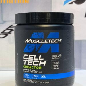 کراتین کرکنور ماسل تک ۲۴۰ گرمی